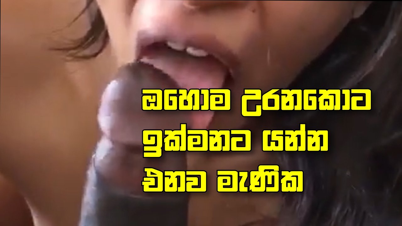 Srilankan Girl Blowjob best-ete uranna nangi